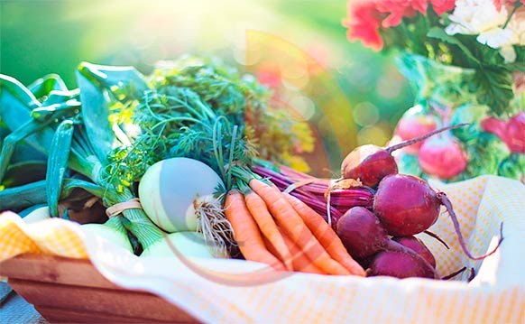 Mantenga las frutas y verduras frescas y en buen estado - Blog de